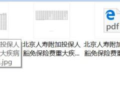 北京人寿附加投保人豁免保险费重大疾病保险条款费率.zip