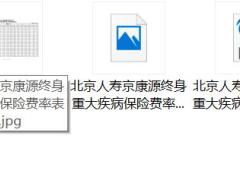 北京人寿京康源终身重大疾病保险条款费率.zip
