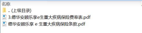 德华安顾乐享e生重大疾病保险条款费率.zip