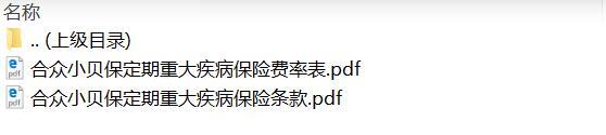 合众小贝保定期重大疾病保险条款费率.zip
