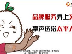 太平品牌服务内容分类18页.pptx