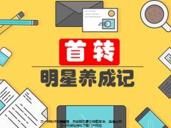 首转明星养成记很重要很简单17页.pptx