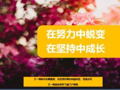 每日鸡汤在努力中蜕变在坚持中成长.zip