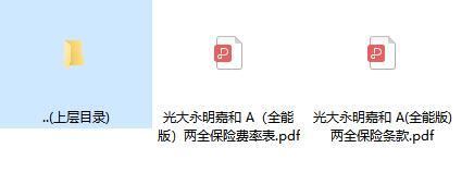 光大永明嘉和A全能版两全保险条款费率.zip
