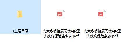 光大永明健康无忧A款重大疾病保险条款费率.rar