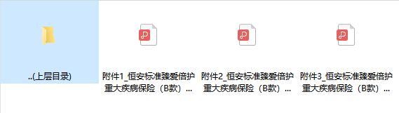 恒安标准臻爱倍护重大疾病保险B款条款费率投保规则.zip