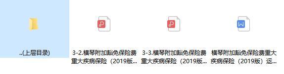 横琴附加豁免保险费重大疾病保险条看看费率运营规则.zip