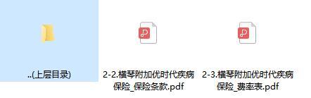 横琴附加优时代疾病保险条款费率.rar