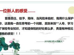 自保件购买四部曲签署流程案例分析18页.pptx