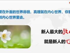 新人最大敌人三种心态的解决方案20页.pptx