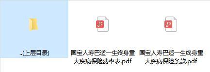 国宝人寿巴适一生终身重大疾病保险条款费率.zip