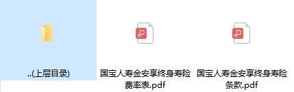 国宝人寿金安享终身寿险条款费率.zip