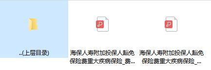 海保人寿附加投保人豁免保险费重大疾病保险条款费率.zip