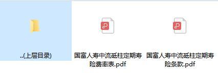 国富人寿中流砥柱定期寿险条款费率.zip