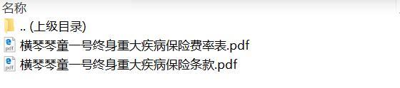 横琴琴童一号终身重大疾病保险条款费率.zip