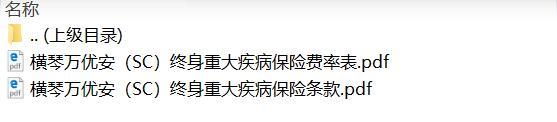 横琴万优安SC终身重大疾病保险条款费率.zip