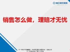 新华理赔投诉数据案例反思21页.pptx