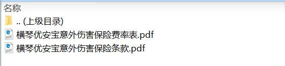 横琴优安宝意外伤害保险条款费率.zip