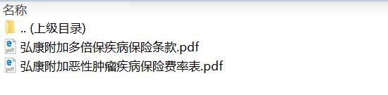 弘康附加多倍保疾病保险条款费率.rar