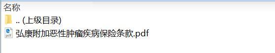弘康附加恶性肿瘤疾病保险条款.rar