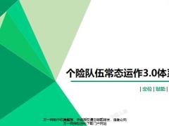 个险队伍常态运作3.0体系介绍含备注37页.pptx