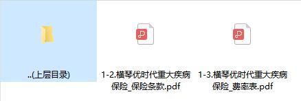 横琴优时代重大疾病保险条款费率.rar