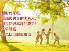 致敬建军国寿福启动课件30页.pptx