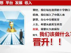 国寿主管利益分析典型树立晋升标准差额预警27页.pptx