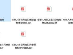华泰人寿百万宝贝两全保险条款费率投保保全规则现金价值.zip
