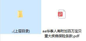 华泰人寿附加百万宝贝重大疾病保险条款.rar