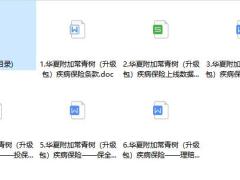 华夏附加常青树升级包疾病保险条款费率投保理赔保全.zip