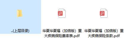 华夏华夏福加倍版重大疾病保险条款费率.zip