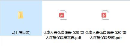 弘康人寿弘康臻爱520重大疾病保险条款费率.zip