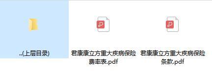 君康康立方重大疾病保险条款费率.zip