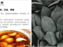 每日健康大蒜这样吃80岁不血栓肾如30小年轻15页.ppt