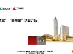 国寿鑫续宝鑫单宝项目介绍保障升级工作要求28页.pptx