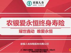 农银爱永恒终身寿险销售逻辑案例演示31.pptx