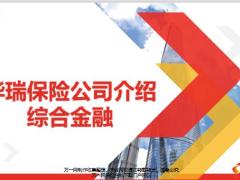 华瑞保险公司介绍综合金融18页.pptx