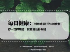 每日健康对眼睛最好的3种食物比猪肝还补眼睛17页.ppt