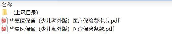 华夏医保通少儿海外版医疗保险条款费率.zip
