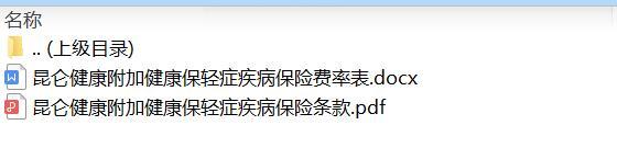 昆仑健康附加健康保轻症疾病保险条款费率.zip