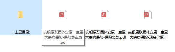交银康联团体安康一生重大疾病保险保险条款费率现金价值.zip