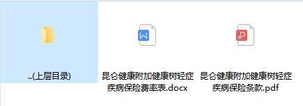 昆仑健康附加健康树轻症疾病保险条款费率.zip