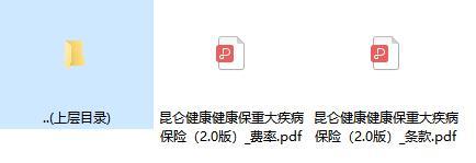昆仑健康健康保重大疾病保险2.0版条款费率.zip