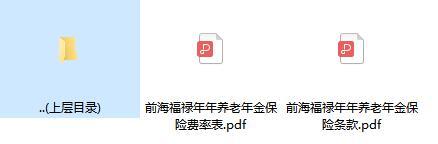 前海福禄年年养老年金保险条款费率.zip