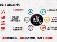 华夏福临门盛世版A款六珠训练产品基础知识23页.pptx