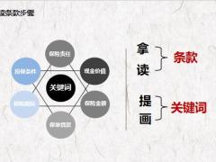 华夏福临门盛世版A款六珠训练对照条款解读名词23页.pptx