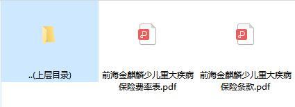 前海金麒麟少儿重大疾病保险条款费率.zip