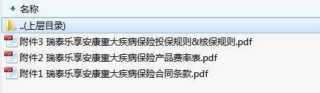 瑞泰乐享安康重大疾病保险合同条款费率投保核保规则.rar