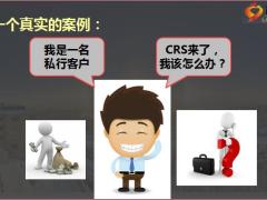 CRS国际协定有效应对36页.pptx